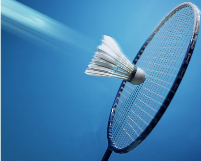 勒沃库森可 勒沃库森可