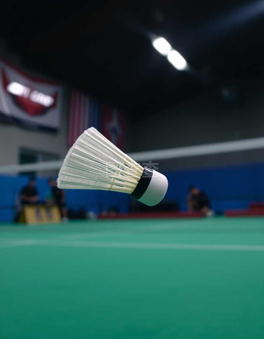 帮助我们保 帮助我们保