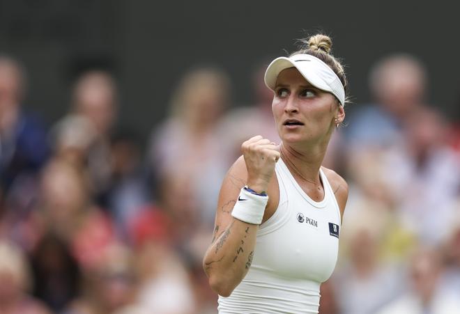 新合作伙伴 新合作伙伴